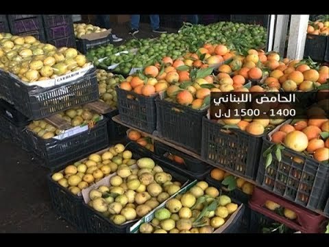 تهريب من سوريا إلى لبنان يشكل خطراً على 200 الف أسرة لبنانية! – غدي بو موسى