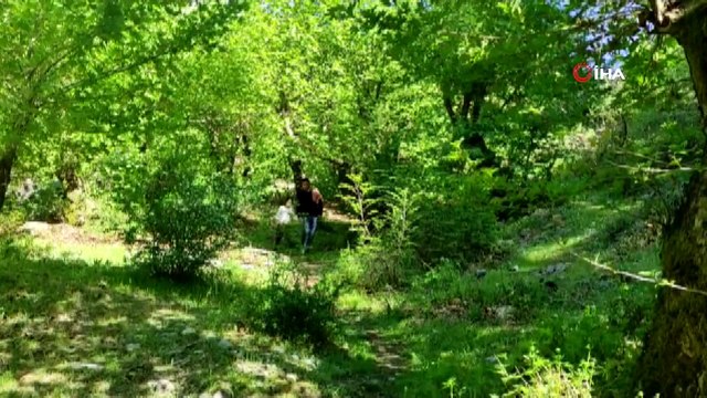 Sevek mesire alanı, doğal güzelliğiyle kendine hayran bırakıyor