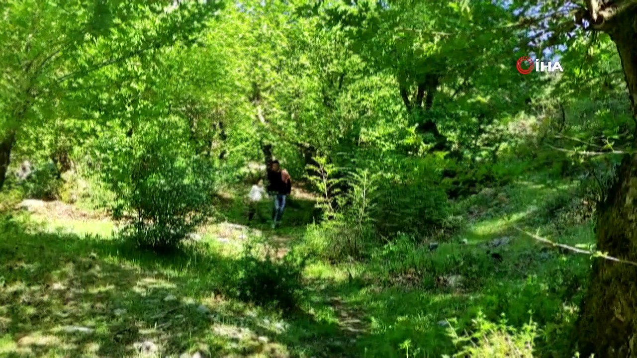 Sevek mesire alanı, doğal güzelliğiyle kendine hayran bırakıyor