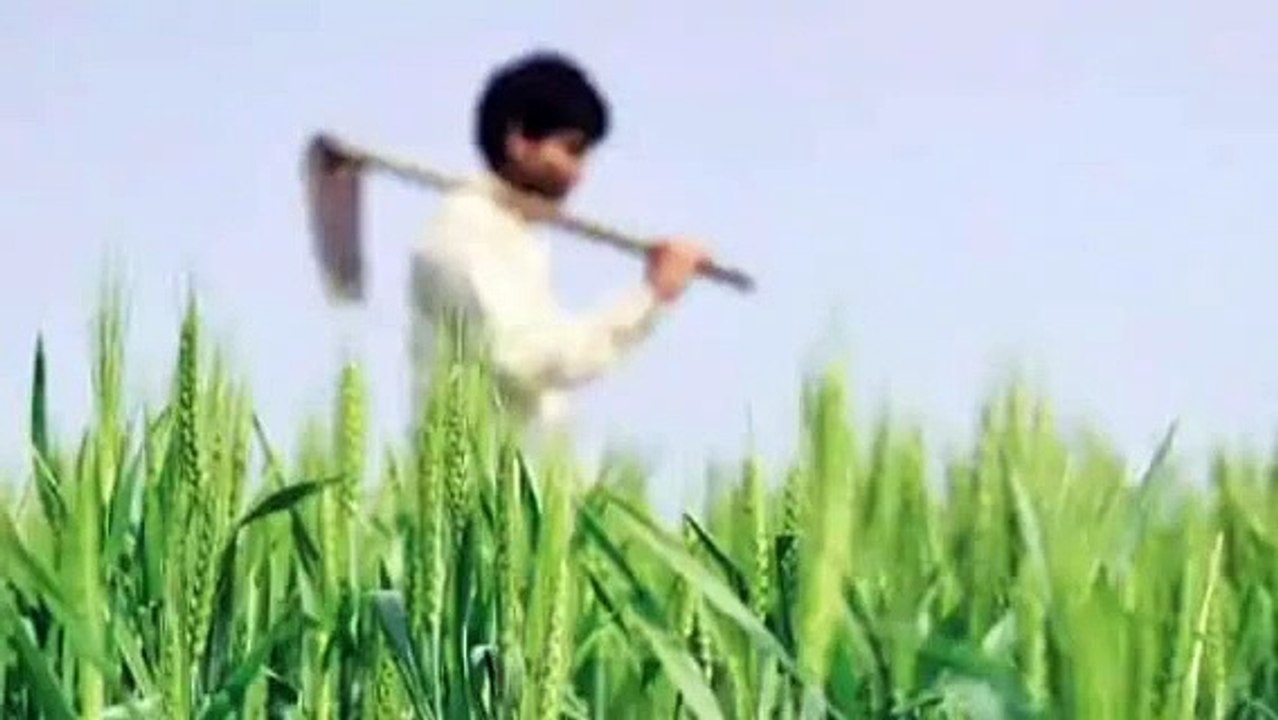 कृषि विज्ञान केंद्र ने किसानों को खाली खेतों में गहरी जुताई करने की दी सलाह