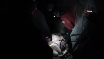 Giresun'da uçuruma yuvarlanan inek AKUT ekipleri tarafından kurtarıldı