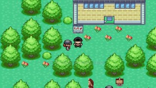 Pokemon Hunters of the Ancient - Old GBA Hack ROM, You play as Team Rocket and you can steal Starter - Pokemoner.om