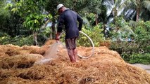 West side farmers pay the straw