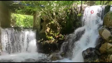 Sevek mesire alanı, doğal güzelliğiyle kendine hayran bırakıyor