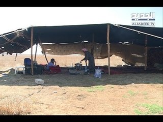 تجديداً لأسلوب الحياة المتوارث... العشائر البدوية تختار "فالوغا" مصيفاً سنوياً- حليمة طبيعة