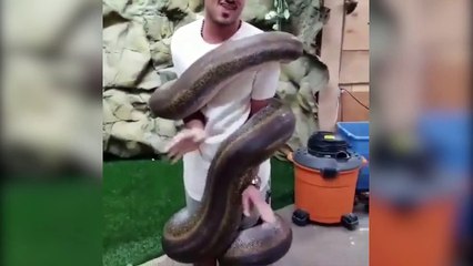 Anakonda yılanı adamı az daha boğuyordu!