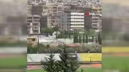 - Şam'da çekirge istilası