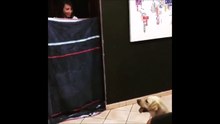MAGIA PARA PERROS #WhatTheFluffChallenge