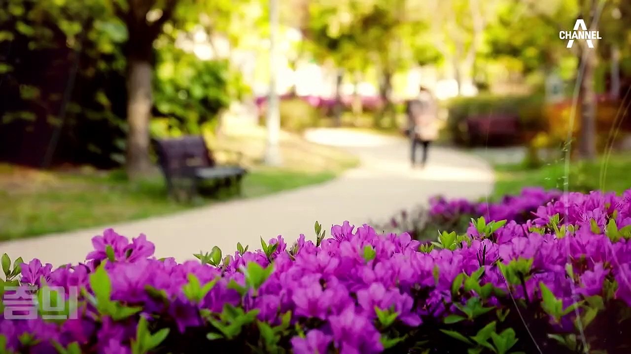 관절 통증이 우울증까지... 연골 손실을 잡아야 무릎을 지킨다