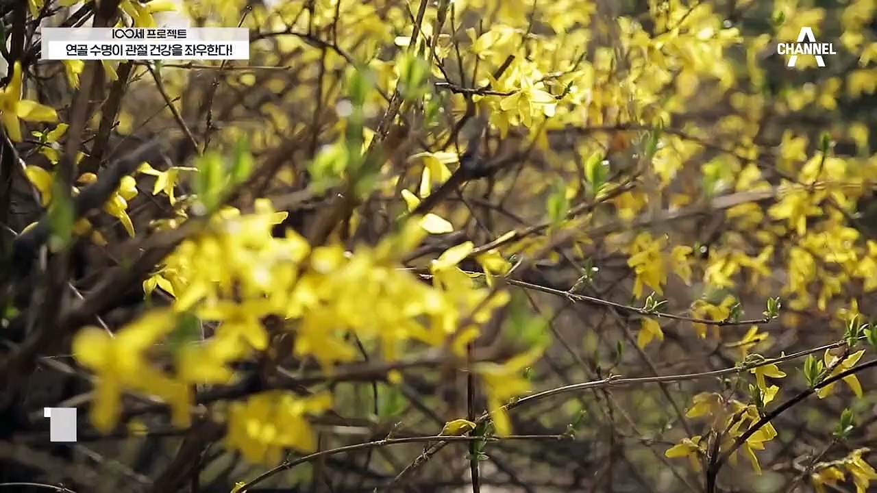 관절염을 이겨내고 인생을 되찾은 그녀, 여성이 퇴행성 관절염에 더 취약한 이유?