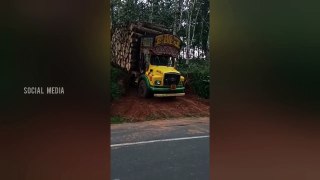 TATA Se 1613 Timber lorry kerala | Timber lorry drivers extreme off road driving