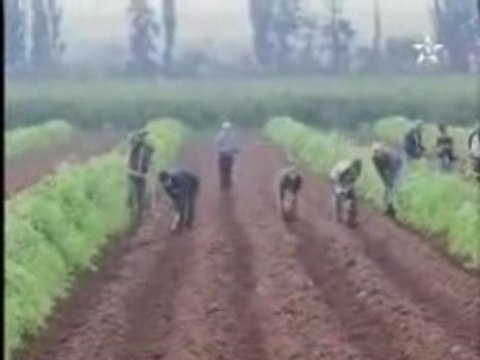 Le bassin du Moulouya Saidia Oujda est Nador houceima Maroc
