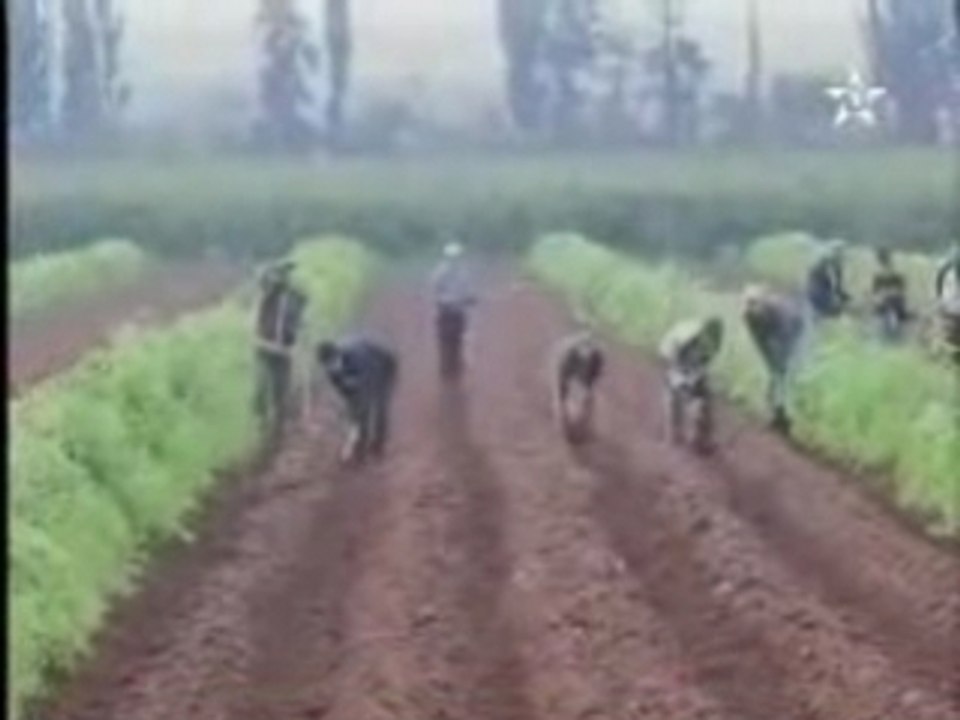 Le bassin du Moulouya Saidia Oujda est Nador houceima Maroc