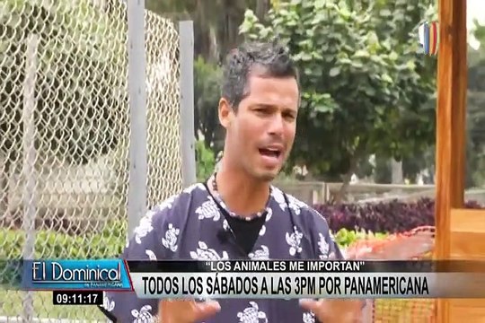 “Los animales me importan”: Conozca al jaguar amarillo del Parque de las Leyendas