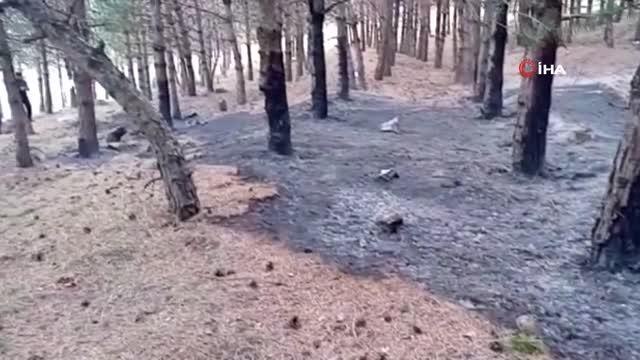 Son dakika haber! Göle'de çıkan orman yangını büyümeden söndürüldü