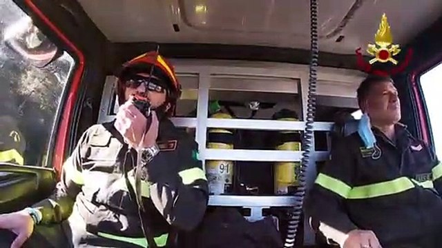 Puglia: cavallo pony corre sulla Statale, salvato dai Vigili del Fuoco sulla Gallipoli-Lecce - video