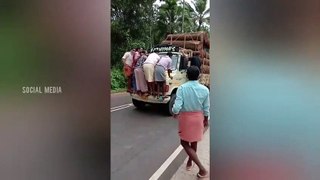 Overloaded timber lorry kerala | Extreme Timber truck driving