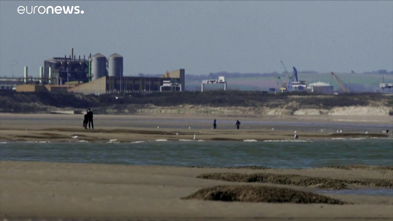'Do Not Disturb': Walkers in France asked not to frighten seals