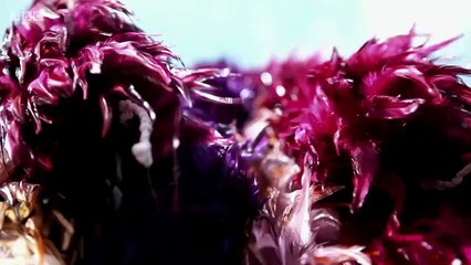 Colour - The Spectrum of Science episode 3