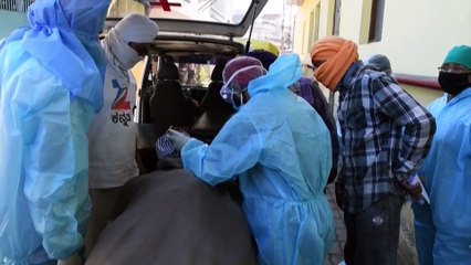 В Индии не хватает кислорода для пациентов с Covid-19
