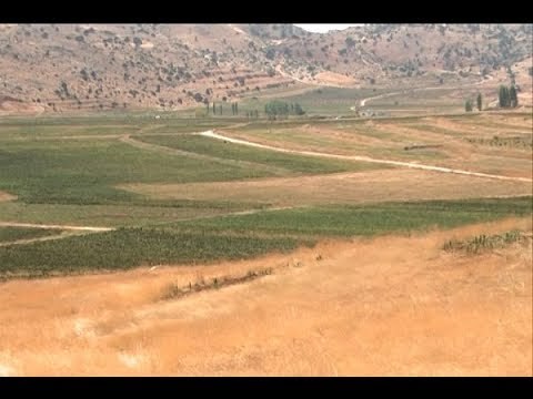 الجديد في مرجحين: المطلوب لا يمثّل عشيرة علو! - آدم شمس الدين