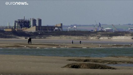 Cada vez más bebés foca abandonados por culpa de los humanos en el norte de Francia
