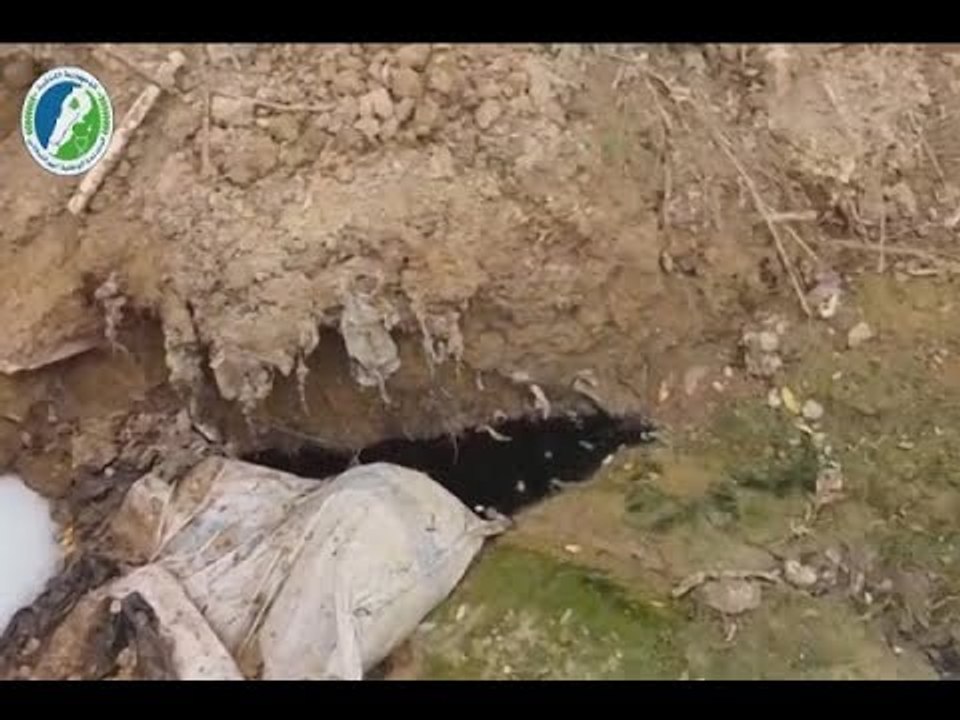 - "المَزارع تغرق الليطاني بمخلفات الأبقار والجيف"