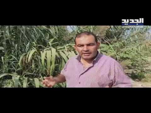 الأنهر في عكار بؤرة تلوث والأهالي يناشدون وزارة الطاقة رفع الضرر - عصام رجب