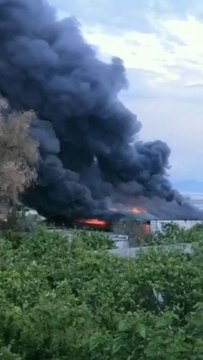 Son dakika haberleri! Çekirge üretim merkezinde çıkan yangın korkuttu