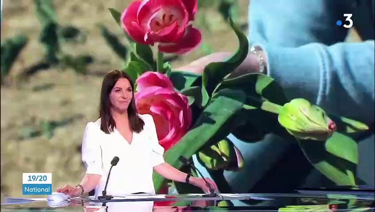 Tendance : fleurs, fruits et légumes… les cueillettes à faire soi-même ont du succès