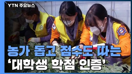 농가 돕고 점수도 따고...대학생 학점 인증 사업 도입 / YTN