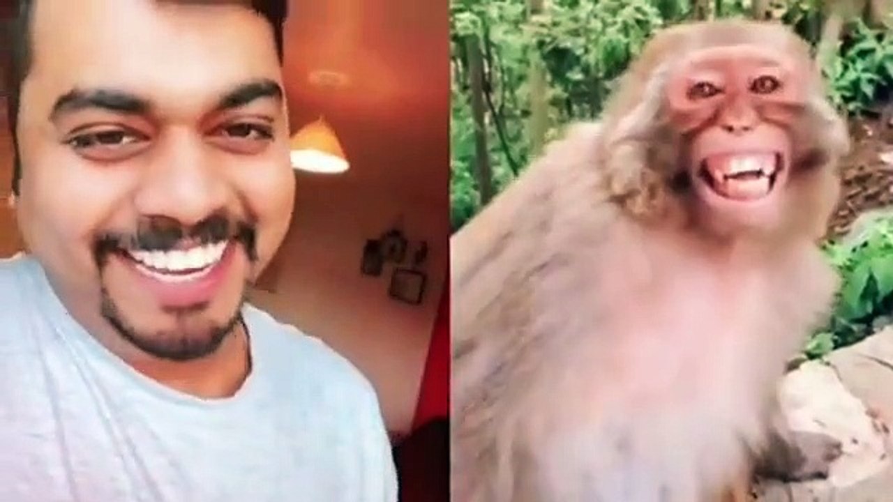 Funny vedios  | Tiger Prank vedio | Dog prank vedio | Fake Tiger prank | Comedy vedios.