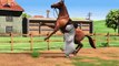 Bernard Bear - Dressage AND MORE - Cartoons for Children - Full Episodes