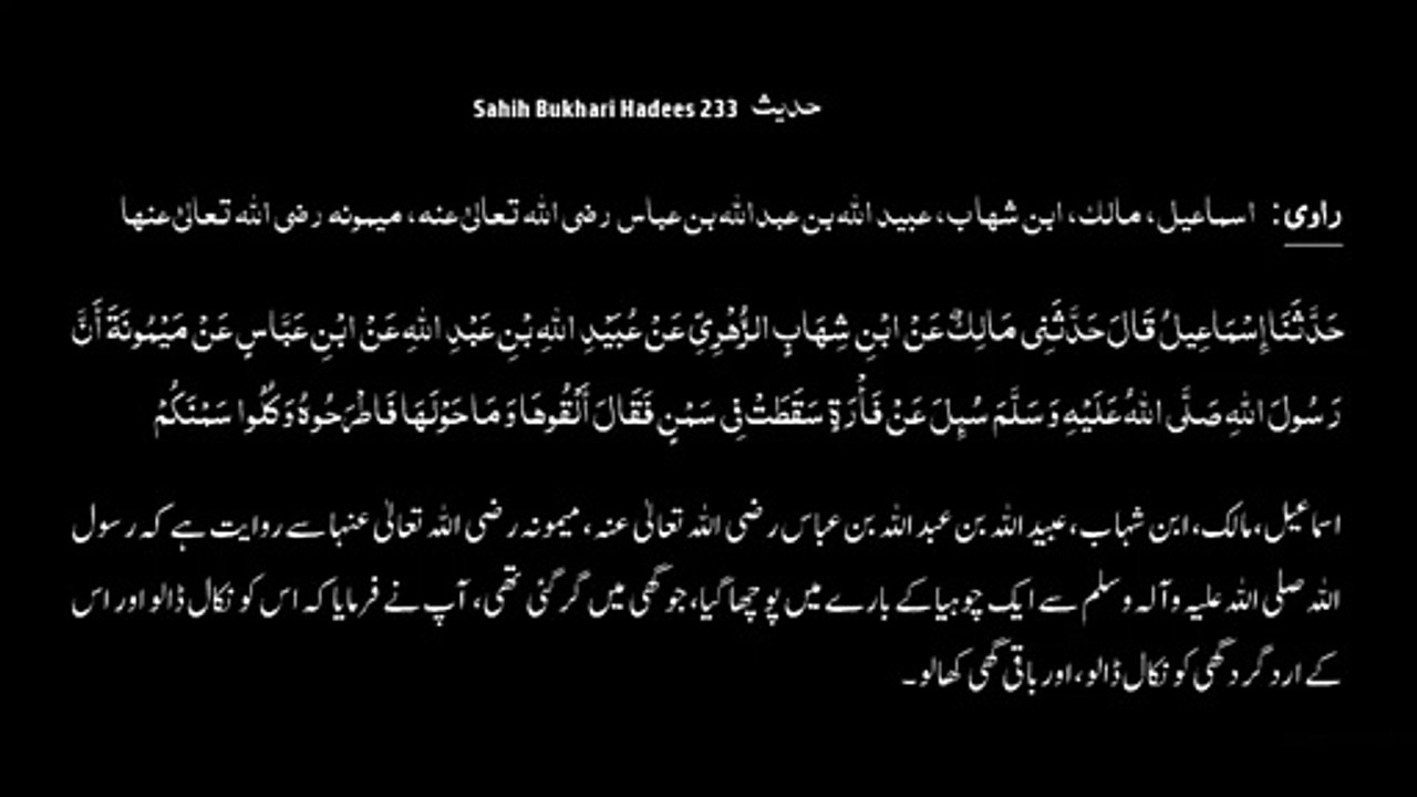 Watch *Hadith 233 Sahih Bukhari*