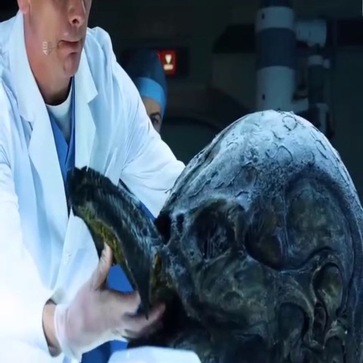 Best Allen Movie