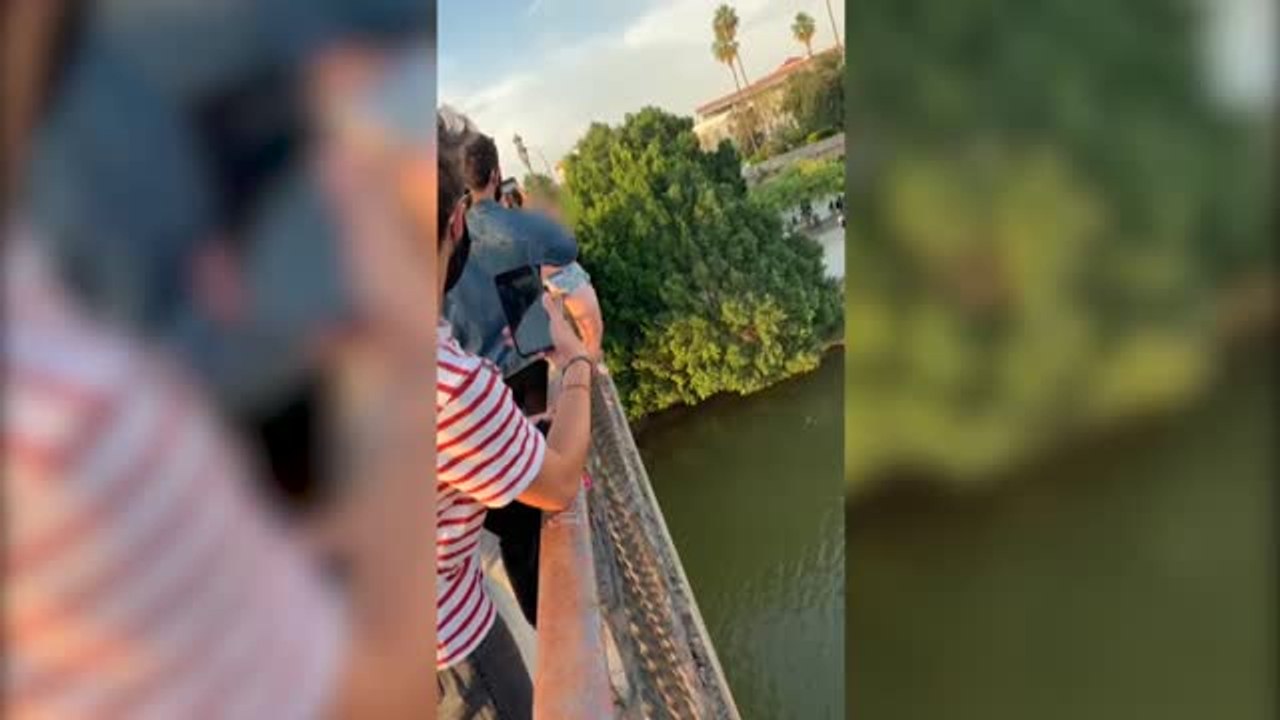 La policía de Sevilla se emplea a fondo en un fin de semana lleno de incumplimientos