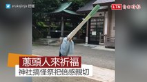 青蔥頭人嚴肅祭祀引轟動！神奈川縣最古老的神社搞怪一改莊嚴形象