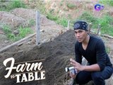 Farm To Table: Create a backyard farm by using the 'no dig raised bed hügelkultur' method!