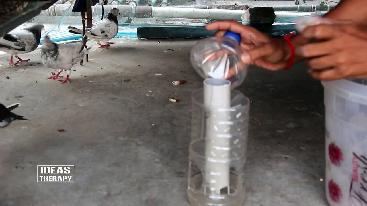 How To Make Automatic Bird Feeder Easy Way With DIY Usage Waste  Plastic Bottle | Pigeon Home Bird