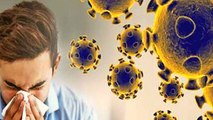 क्या Corona Virus को  हराएगा Rhinovirus ? | Coronavirus Vs Rhinovirus | Boldsky
