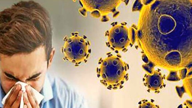 क्या Corona Virus को हराएगा Rhinovirus ? | Coronavirus Vs Rhinovirus | Boldsky