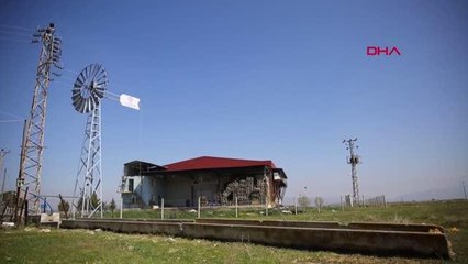 DENİZLİ BÜYÜKŞEHİR'DEN HAYVAN YETİŞTİRİCİLERİNE RÜZGARGÜLÜ DESTEĞİ