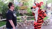 Meeting Tigger, Eeyore, And Winnie The Pooh At Disneyland
