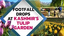 Kashmir's Tulip Garden sees fewer visitors amid Covid 2nd wave | Oneindia news