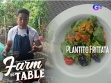 Farm To Table: Plantito Fritata recipe made from ornamental plant