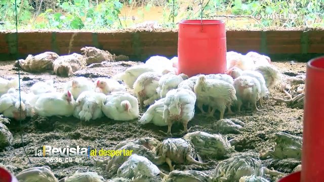 Defensa Civil sobrevolará zonas afectadas por las lluvias para enviar ayuda