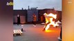 Must See! Real Life ‘Human Torch’ Sets Self On Fire, Jumps Off Building