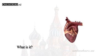 Human body organs in russian