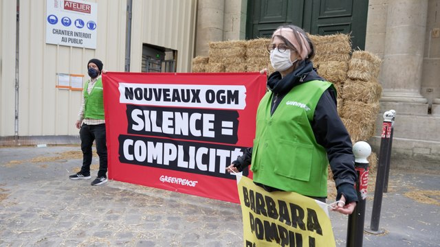 Nouveaux OGM : l'ONG Greenpeace installe un mur de paille devant le ministère de la Transition écologique
