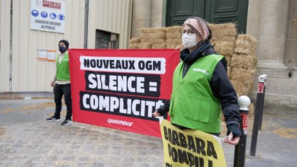 Nouveaux OGM : l'ONG Greenpeace installe un mur de paille devant le ministère de la Transition écologique